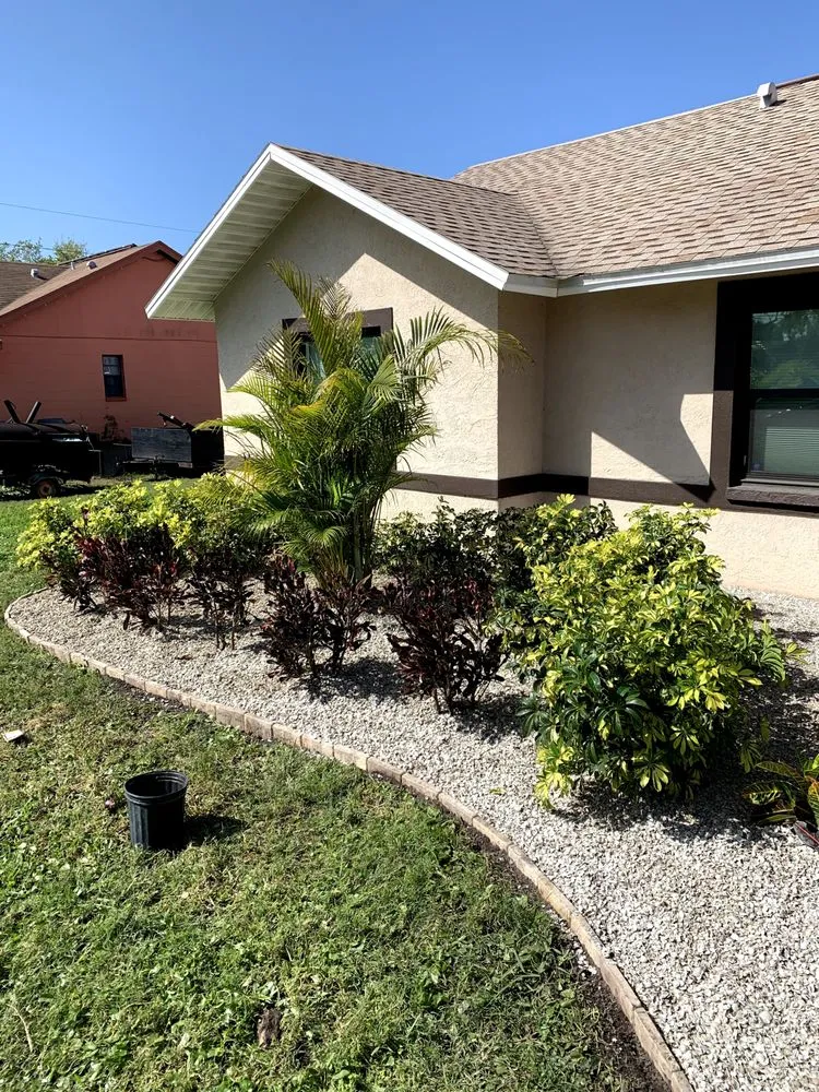 Affordable garden landscaping for year-round maintenance across St. Petersburg, FL - Treeology Tree Service