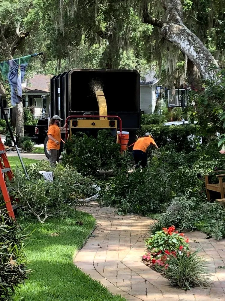 Expert outdoor landscaping in St. Petersburg, FL by Treeology Tree Service