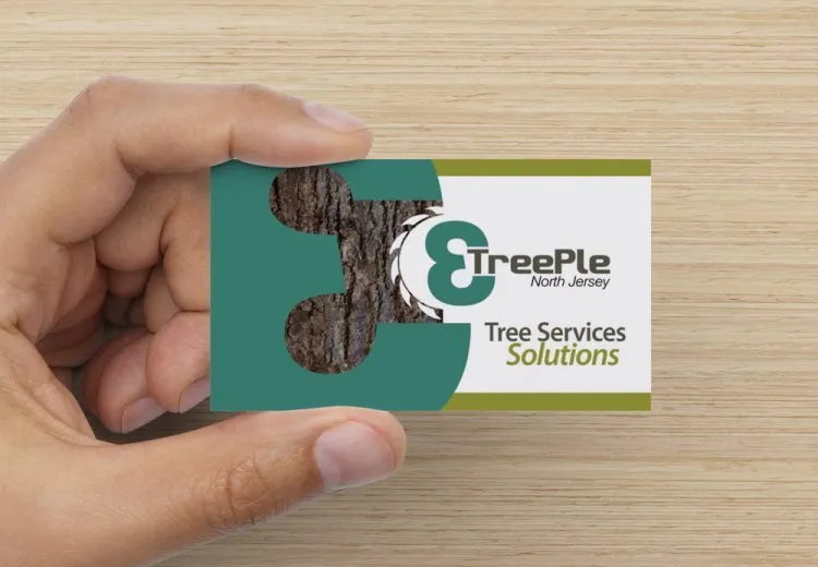 Trusted lawn care service in Clifton, NJ - Treeple Tree Services