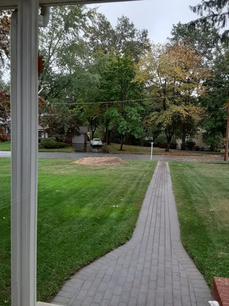 Top-rated yard maintenance in Clifton, NJ by Treeple Tree Services