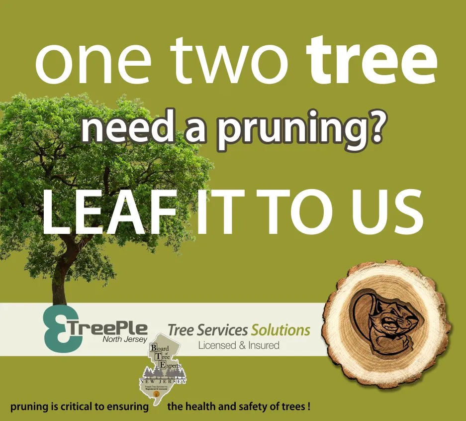 Local landscape design near you across Clifton, NJ - Treeple Tree Services