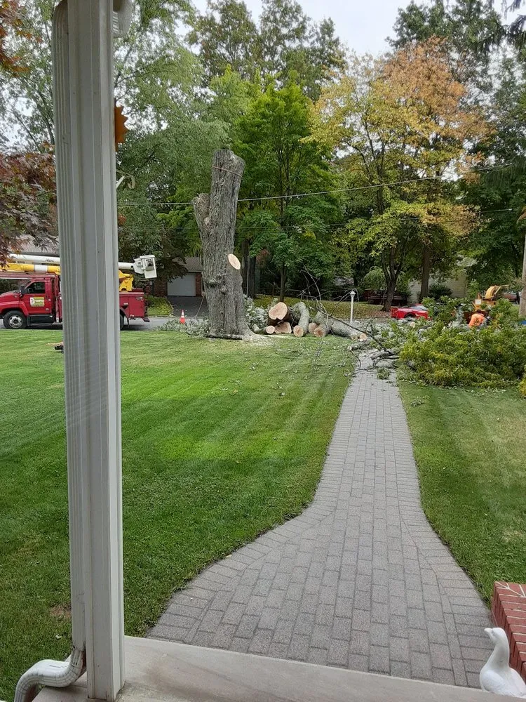 Professional outdoor landscaping for beautiful yards in Clifton, NJ by Treeple Tree Services
