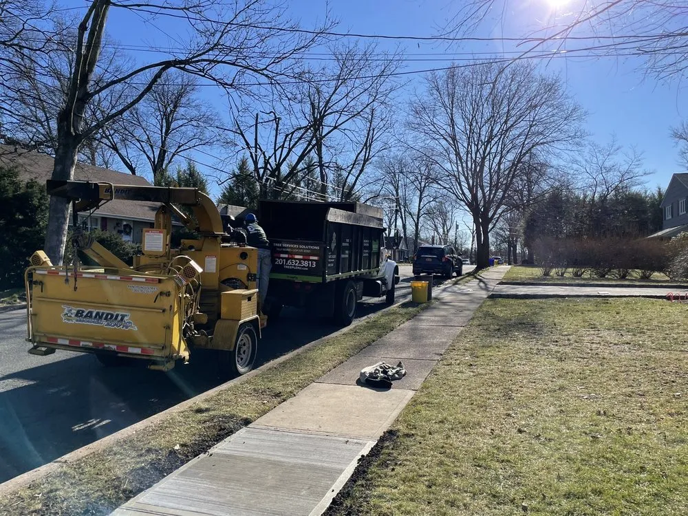 Top-rated residential landscaping in Clifton, NJ - Treeple Tree Services