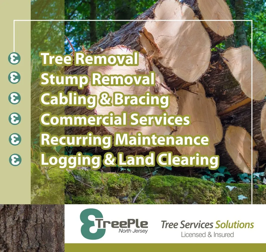 Expert garden landscaping in Clifton, NJ - Treeple Tree Services