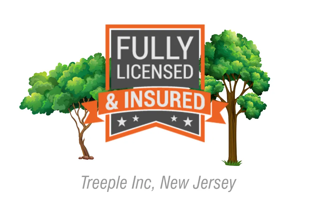 Expert landscape installation for homes across Clifton, NJ - Treeple Tree Services