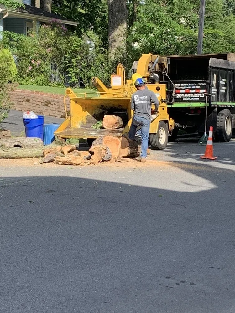 Local landscape installation in Clifton, NJ by Treeple Tree Services