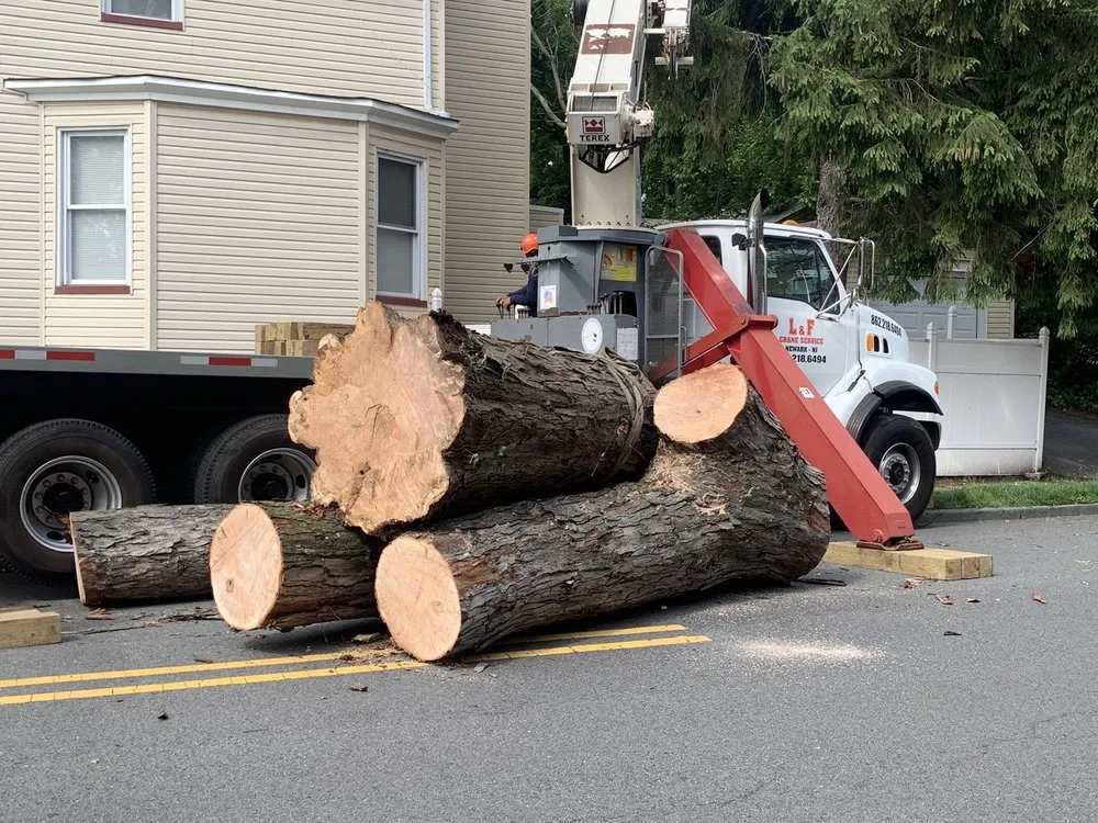 Affordable garden landscaping in Clifton, NJ by Treeple Tree Services