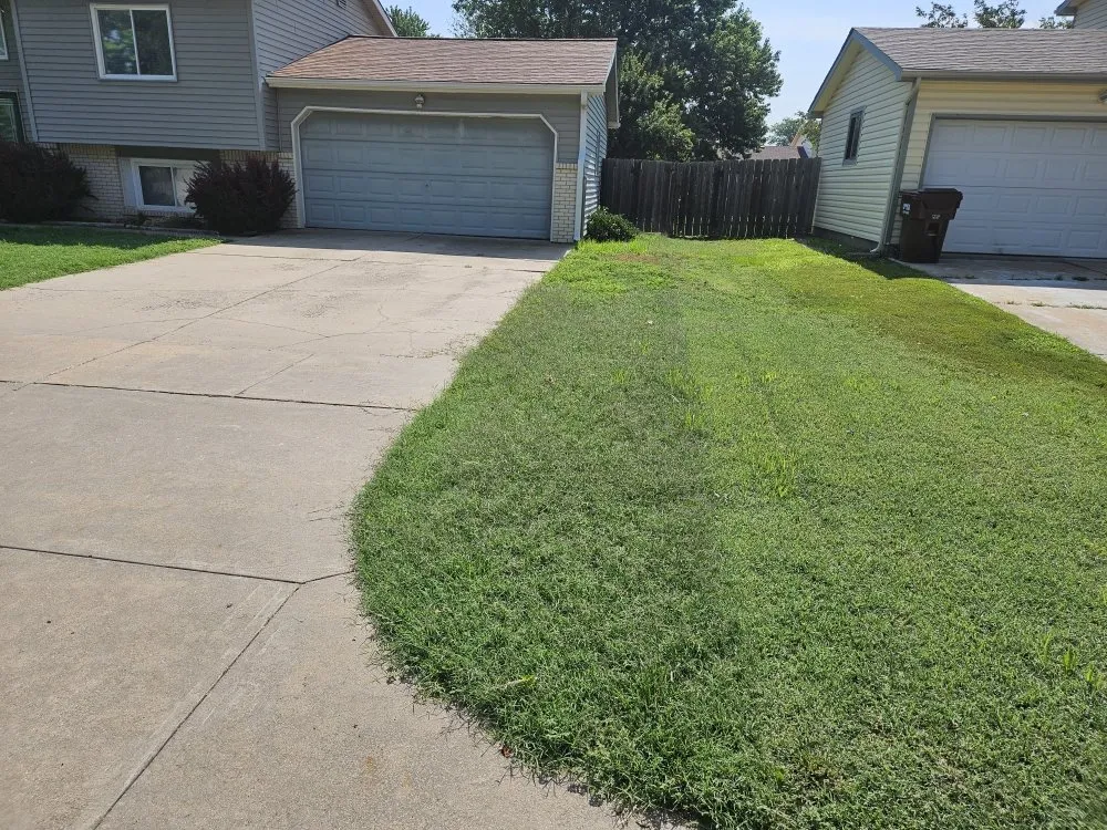 Expert yard cleanup service experts serving Wichita, KS - Treeple