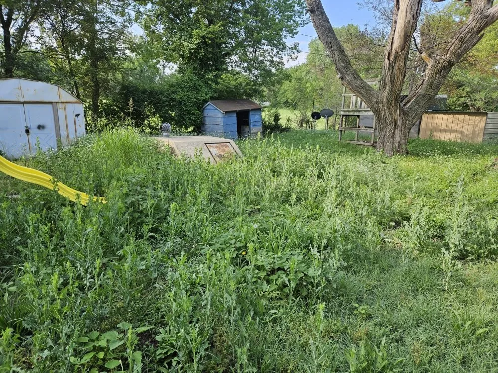 Expert landscaping services for residential properties in Wichita, KS by Treeple