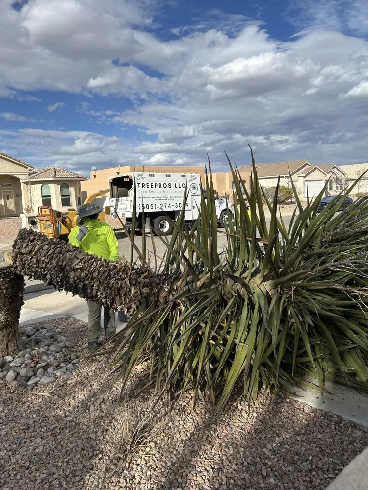 Local garden landscaping near you in Albuquerque, NM by TreePros