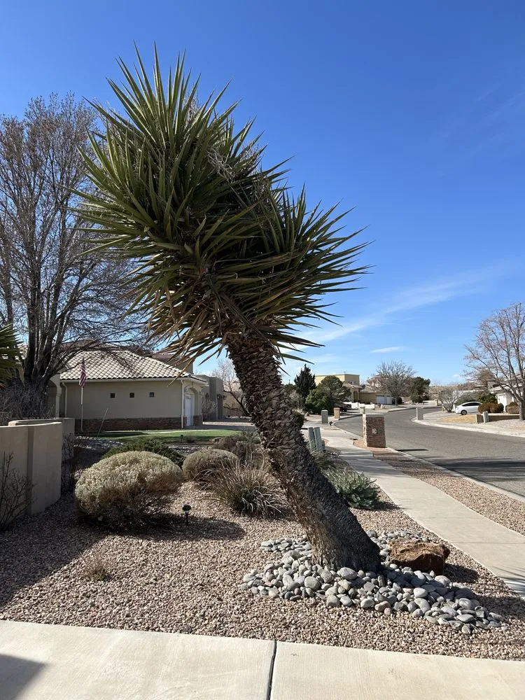 Custom residential landscaping in Albuquerque, NM - TreePros