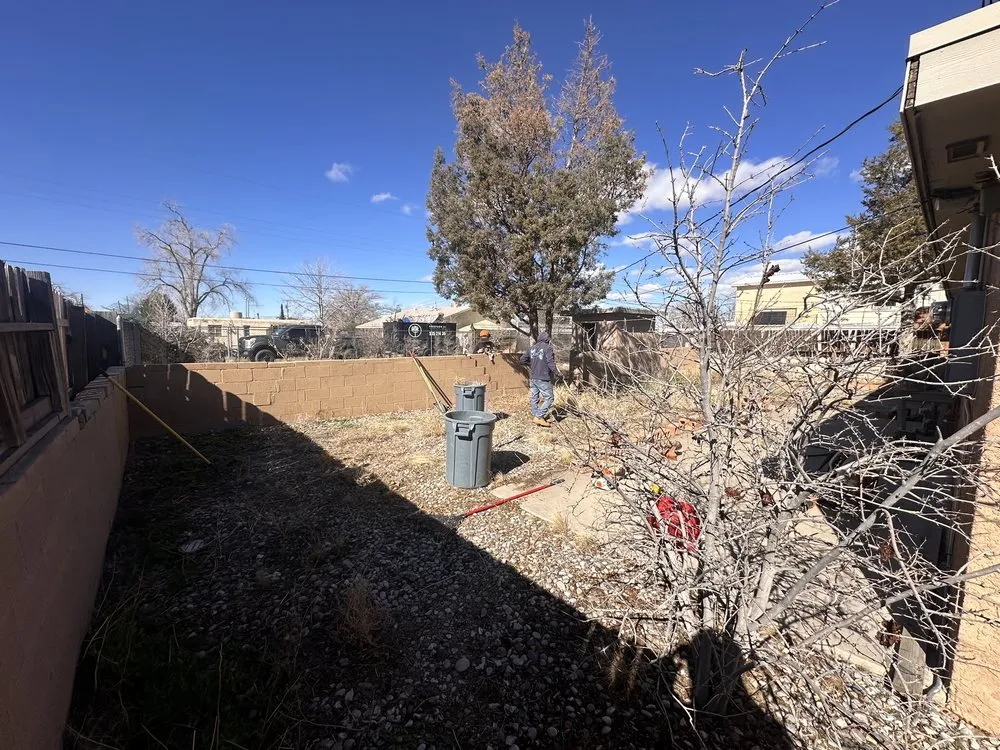 Local yard cleanup service in Albuquerque, NM - TreePros