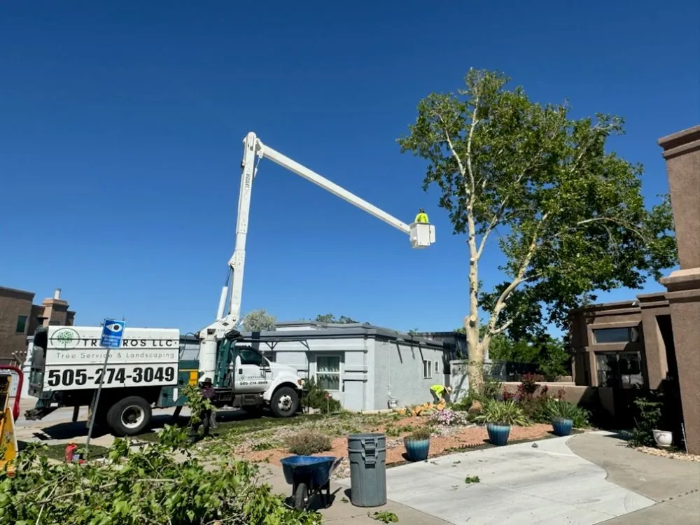 Local lawn mowing service in Albuquerque, NM - TreePros
