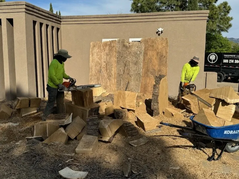 Top-rated outdoor landscaping with custom design in Albuquerque, NM by TreePros
