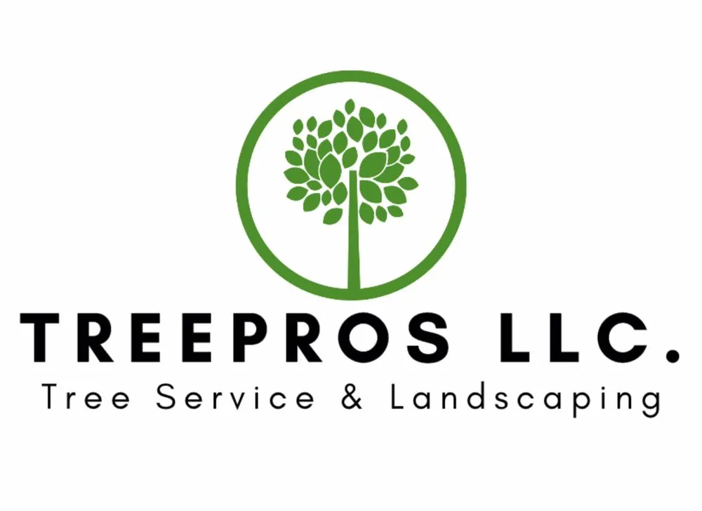 Trusted yard cleanup service for residential properties across Albuquerque, NM - TreePros