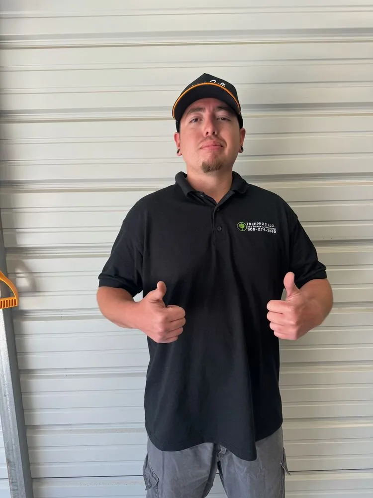 Professional yard cleanup service in Albuquerque, NM - TreePros