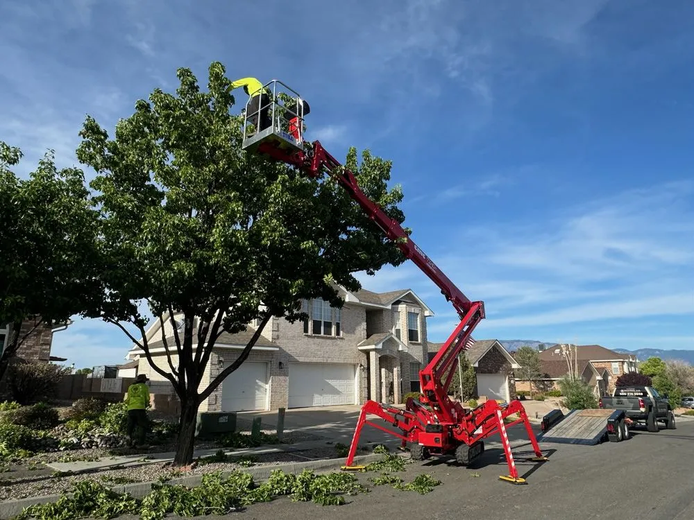 Custom landscape installation with custom design across Albuquerque, NM - TreePros