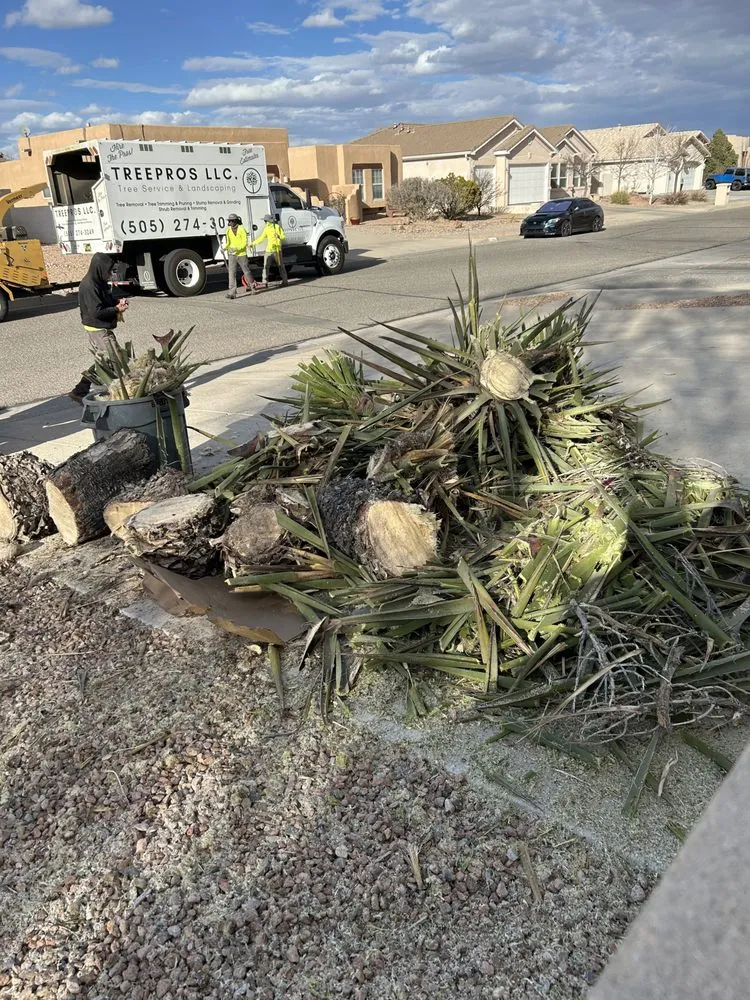 Reliable lawn care service in Albuquerque, NM - TreePros