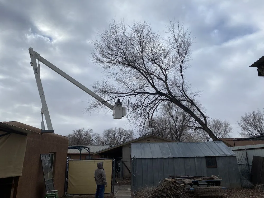 Affordable outdoor landscaping near you across Albuquerque, NM - TreePros