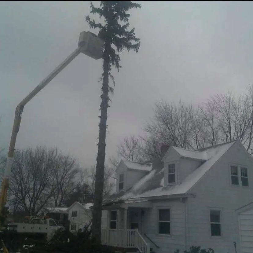 Custom yard cleanup service for residential properties in Leslie, MI by Trees & More