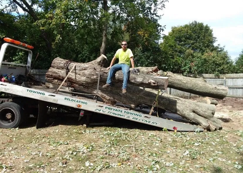 Local landscape installation in Leslie, MI by Trees & More