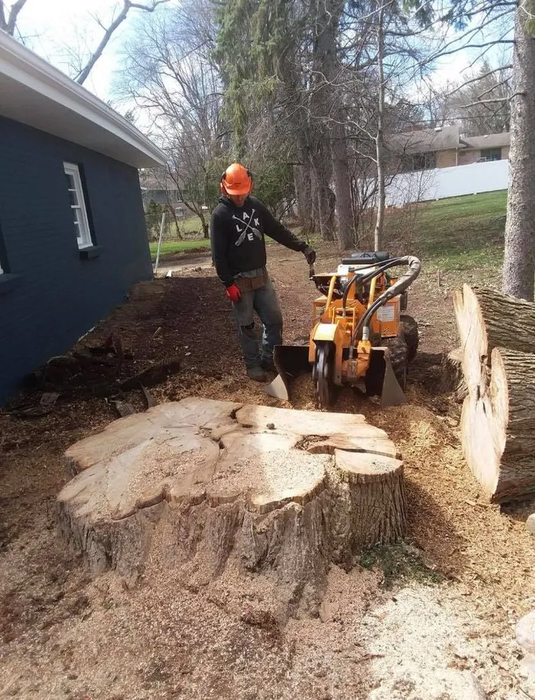 Affordable garden landscaping experts serving Leslie, MI - Trees & More