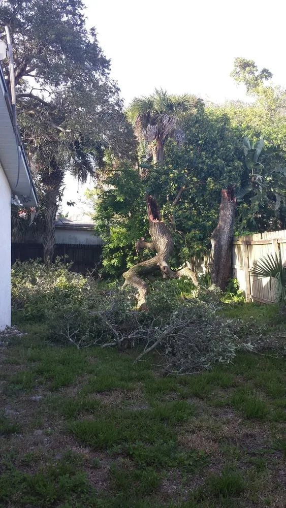 Custom lawn care service for homes in Palm Bay, FL by Trees 4 Life