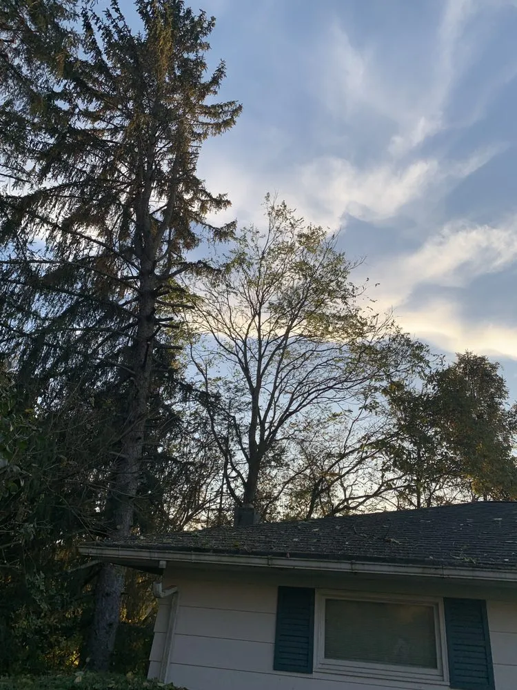 Affordable lawn care service for residential properties in Clarksburg, WV by Tree’s and Green’s