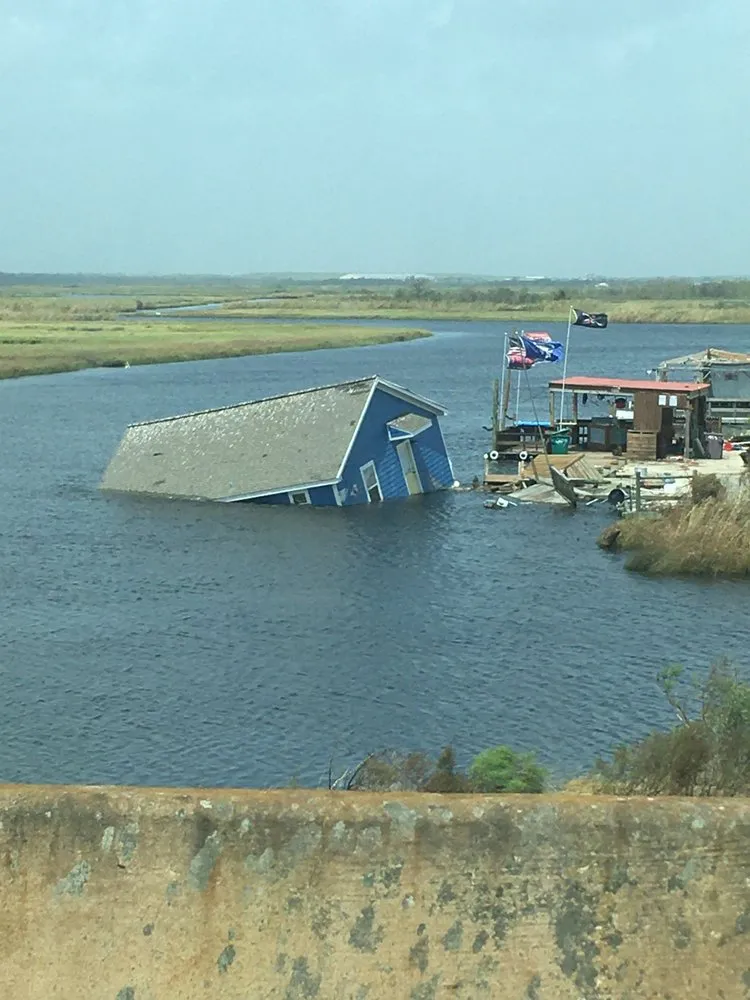 Reliable outdoor landscaping in Clarksburg, WV - Tree’s and Green’s