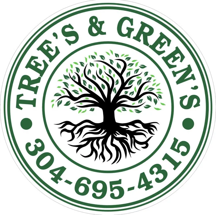 Professional lawn care service in Clarksburg, WV - Tree’s and Green’s