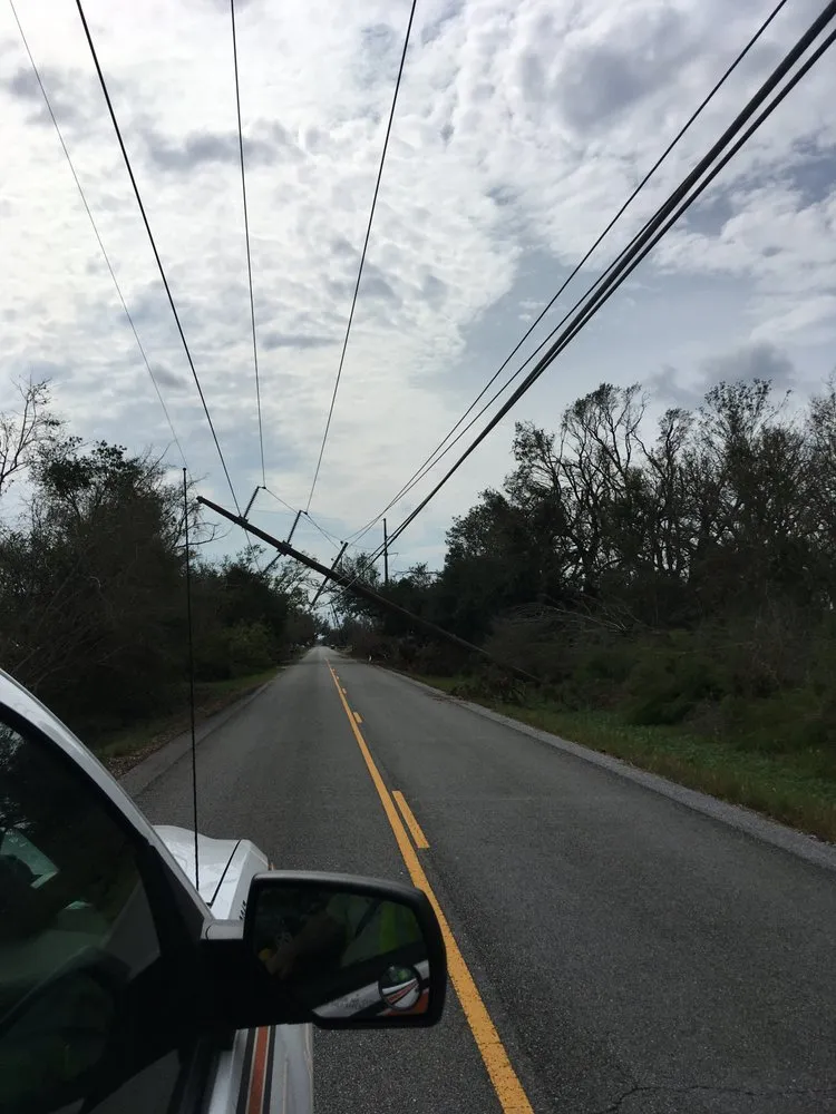 Top-rated landscaping services for homes across Clarksburg, WV - Tree’s and Green’s