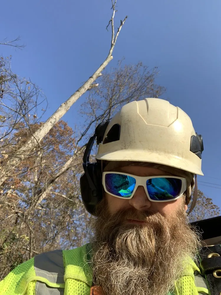 Professional lawn care service in Clarksburg, WV - Tree’s and Green’s