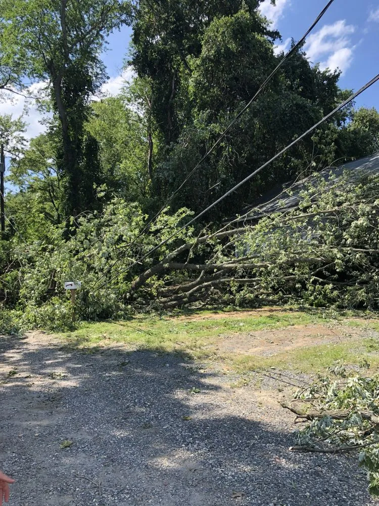 Affordable landscape design for outdoor upgrades in Clarksburg, WV by Tree’s and Green’s