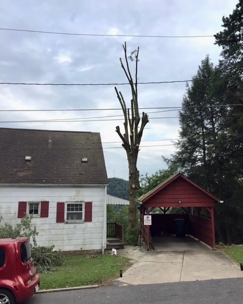 Affordable yard maintenance for residential properties in Clarksburg, WV by Tree’s and Green’s