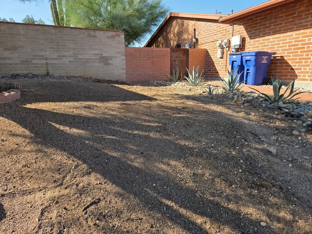 Professional residential landscaping for outdoor upgrades in Tucson, AZ by Trees and Greens Yard Services