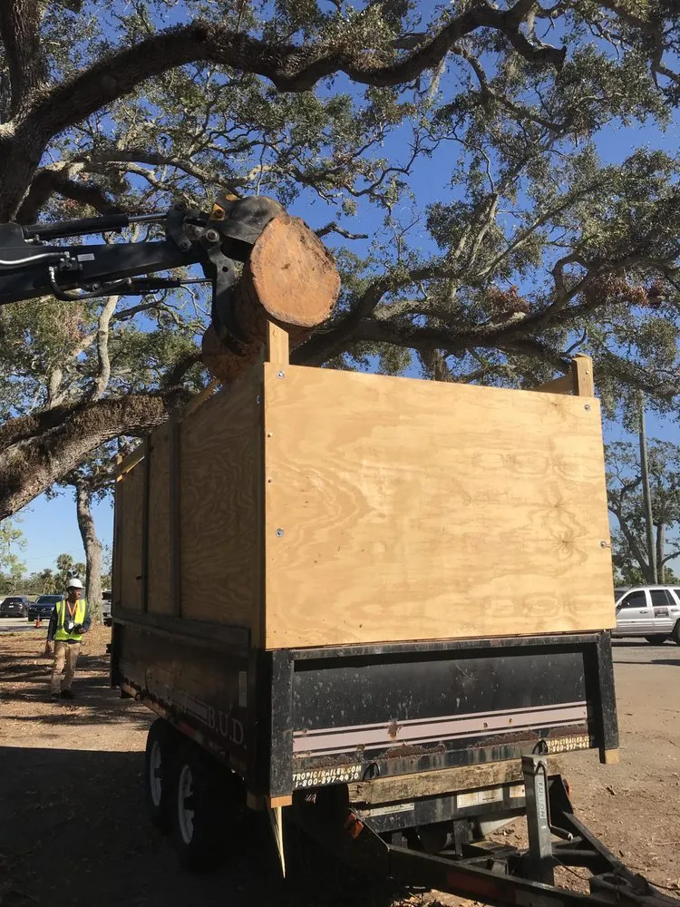 Custom yard maintenance in Tampa, FL - Trees and Junk