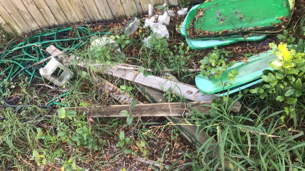 Trusted lawn care service for residential properties across Tampa, FL - Trees and Junk