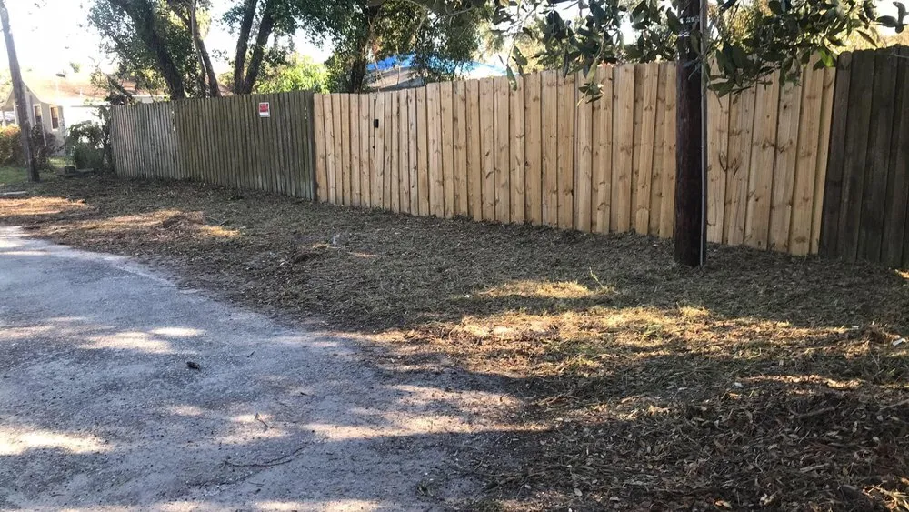 Trusted residential landscaping in Tampa, FL by Trees and Junk