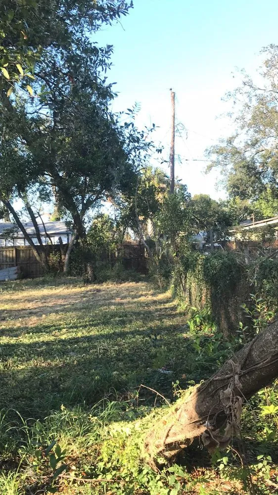 Custom yard cleanup service experts serving Tampa, FL - Trees and Junk