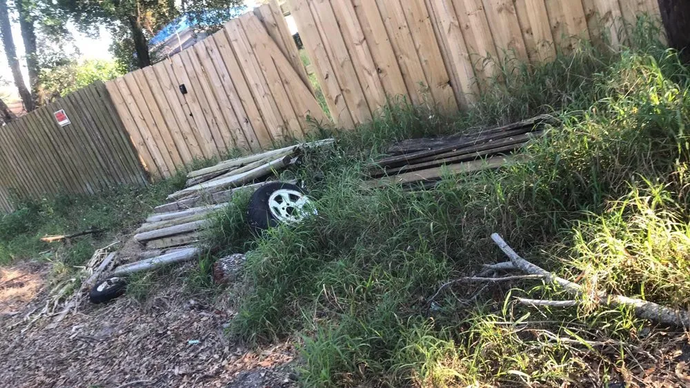 Custom garden landscaping for year-round maintenance in Tampa, FL by Trees and Junk