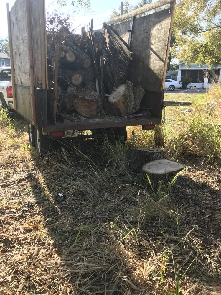 Local landscape installation in Tampa, FL by Trees and Junk
