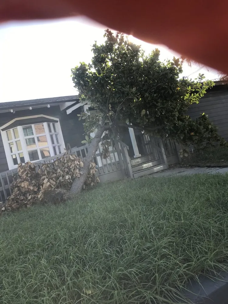 Reliable landscaping services in Tampa, FL - Trees and Junk