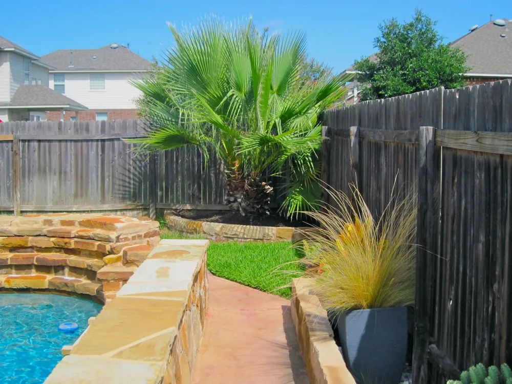Professional landscaping services near you in Austin, TX by Trees and Palms
