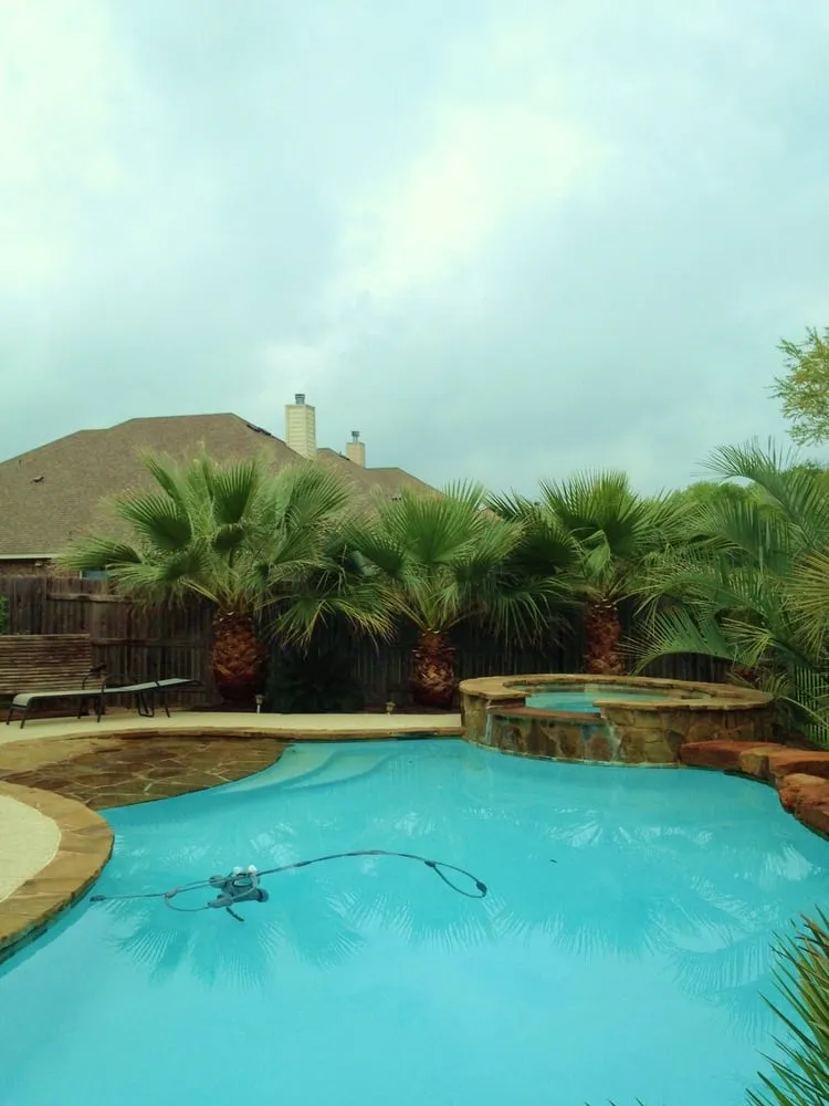 Top-rated lawn care service for homes in Austin, TX by Trees and Palms