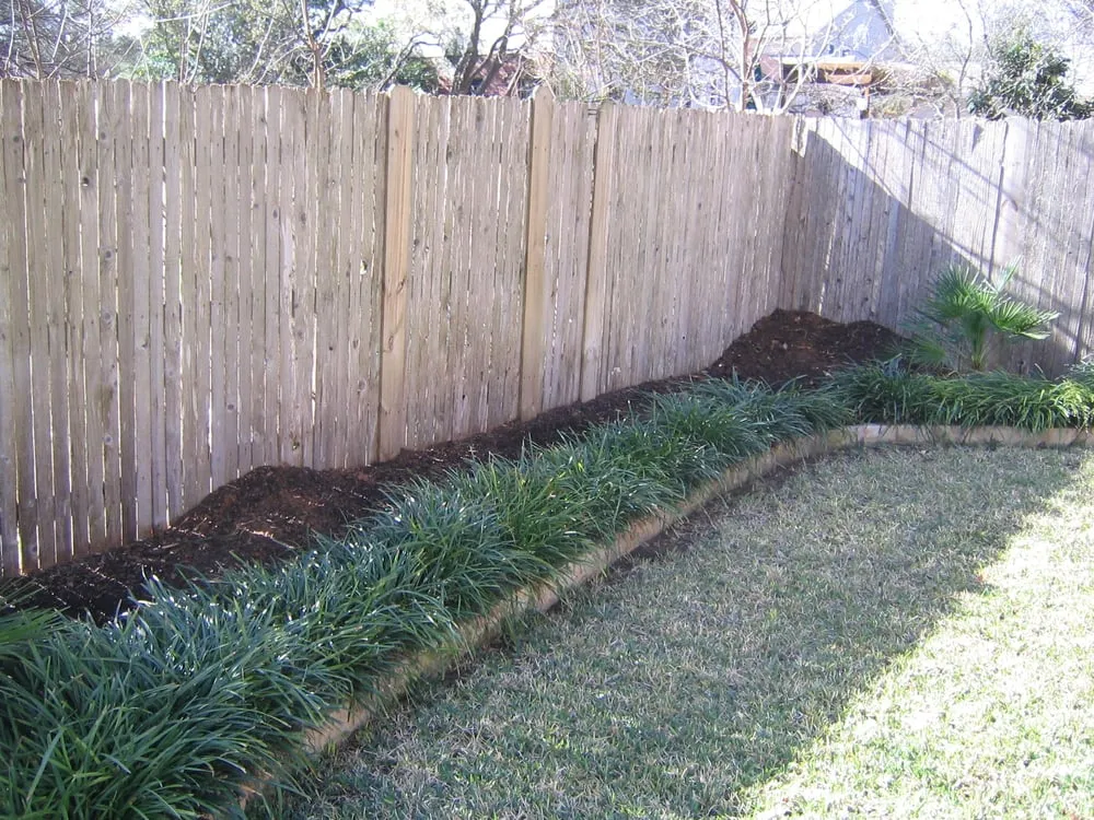 Top-rated outdoor landscaping for year-round maintenance across Austin, TX - Trees and Palms