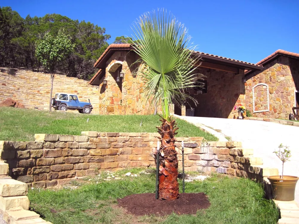 Reliable lawn care service experts serving Austin, TX - Trees and Palms