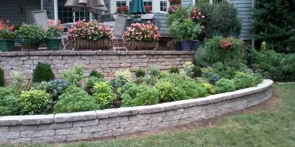 Affordable yard cleanup service in Salisbury, NC by Trees and Plants Nursery and Garden Center