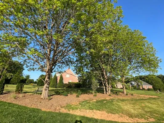 Trees and Plants Nursery and Garden Center