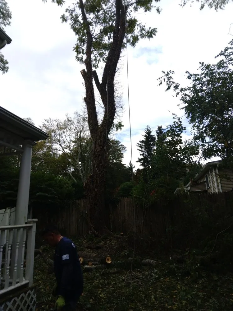 Trusted yard maintenance in Wading River, NY by Trees Are Us