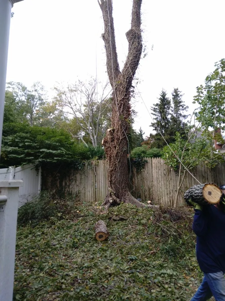 Top-rated residential landscaping for beautiful yards in Wading River, NY by Trees Are Us